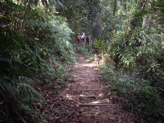 唐麻丹山(裡冷上、下松鶴)