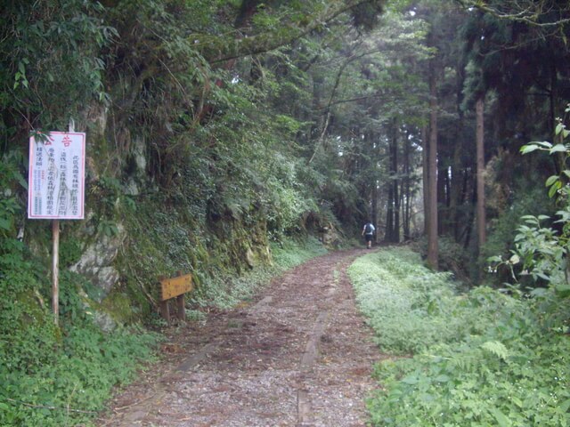 特富野古道