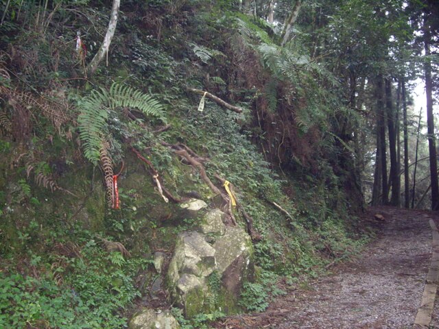 特富野古道