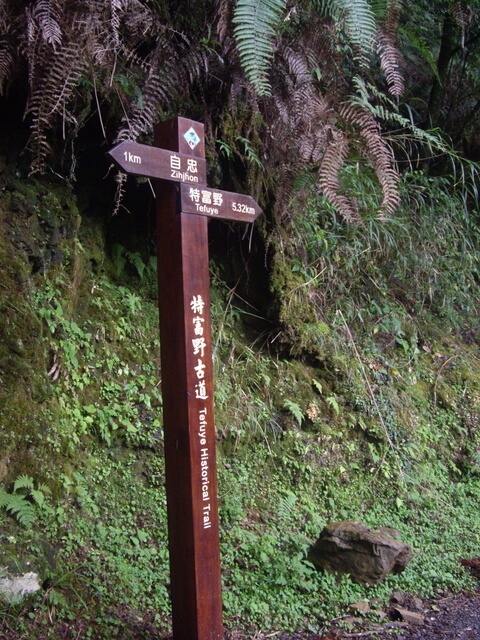 特富野古道