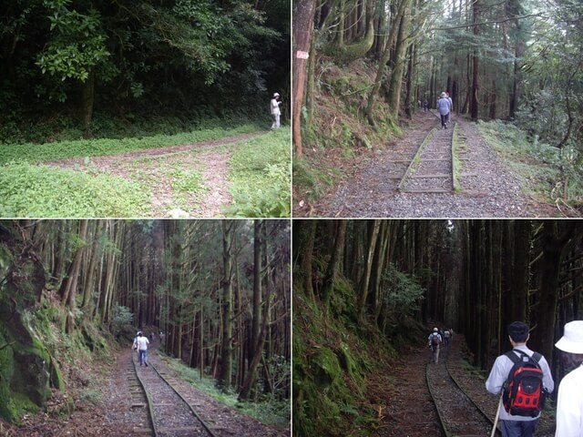 特富野古道