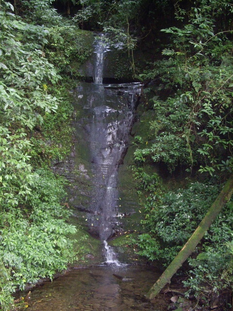 特富野古道