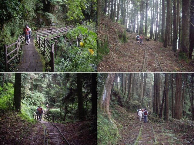 特富野古道