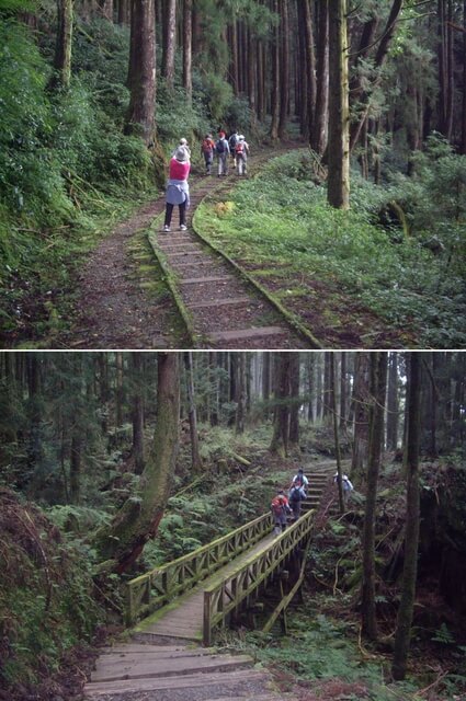 特富野古道