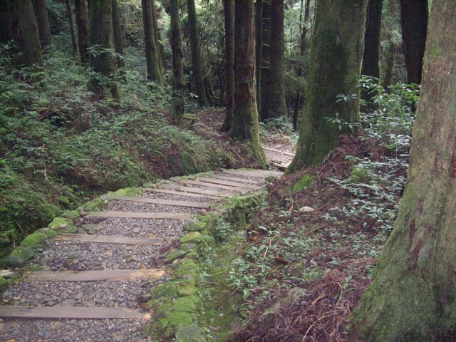 特富野古道