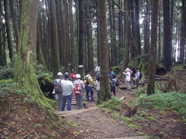 特富野古道