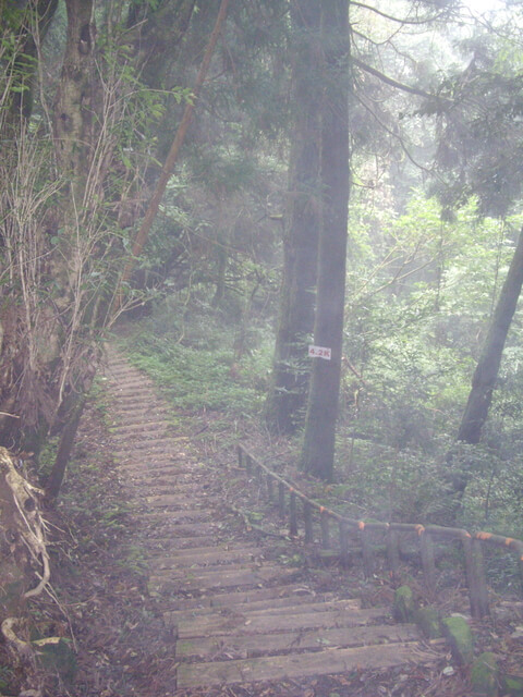 特富野古道