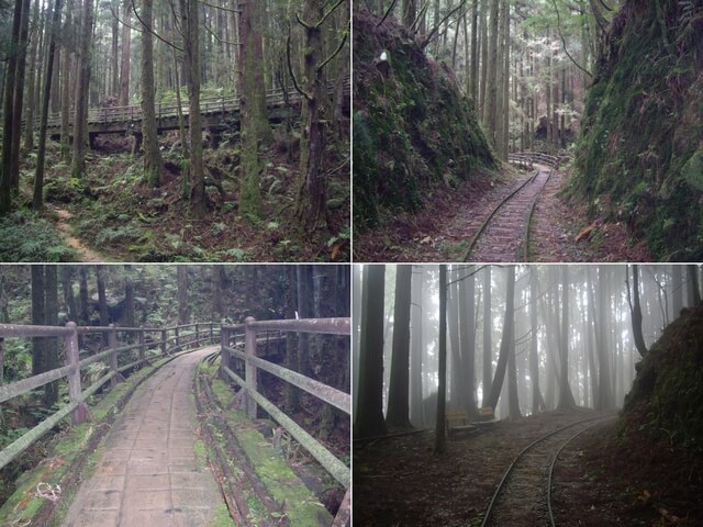 特富野古道