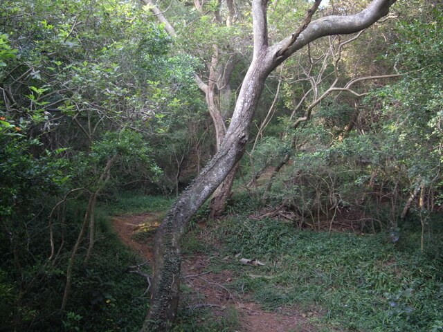 漢影雲根碣、梁山、古崗湖