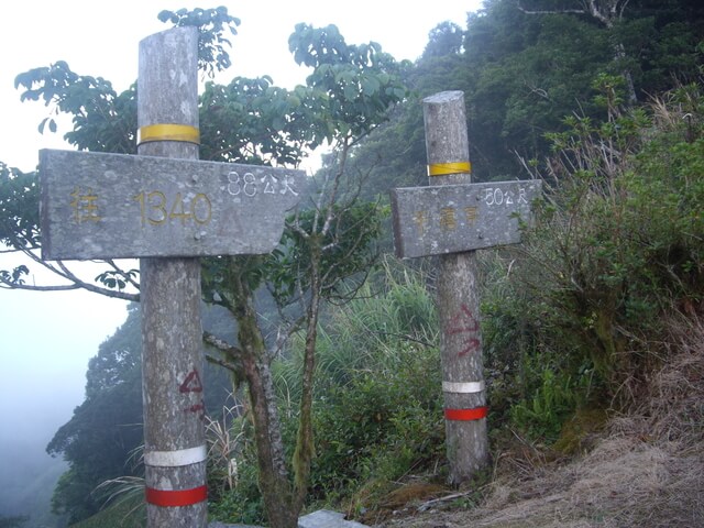 太麻里山