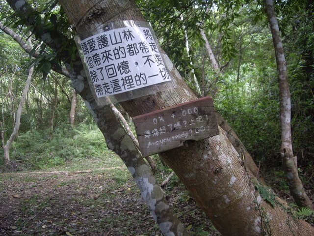 都蘭山步道、都蘭山