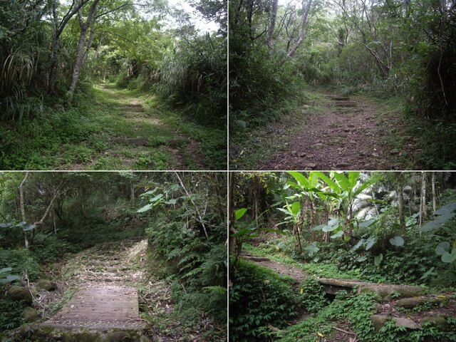 都蘭山步道、都蘭山