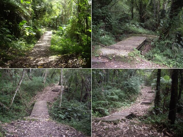 都蘭山步道、都蘭山