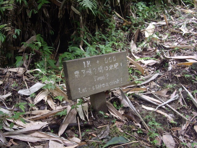 都蘭山步道、都蘭山