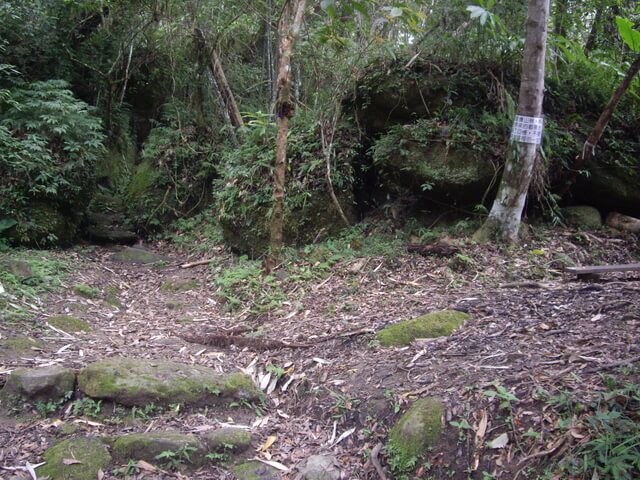 都蘭山步道、都蘭山