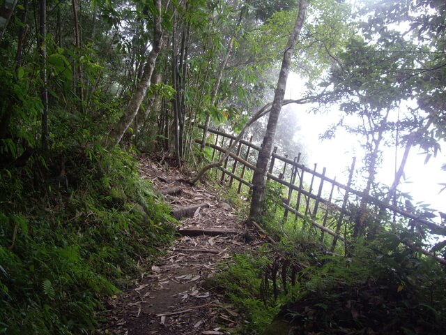 都蘭山步道、都蘭山