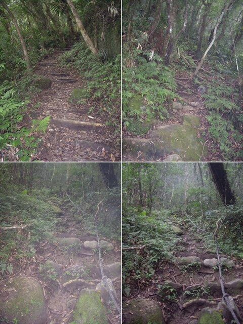 都蘭山步道、都蘭山