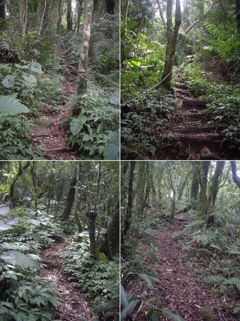 都蘭山步道、都蘭山