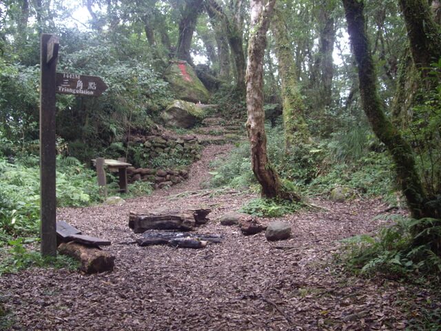 都蘭山步道、都蘭山