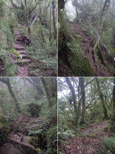 都蘭山步道、都蘭山