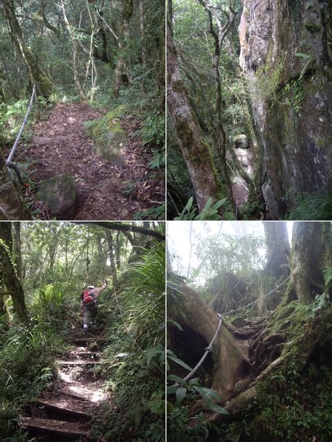 都蘭山步道、都蘭山