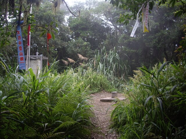 都蘭山步道、都蘭山