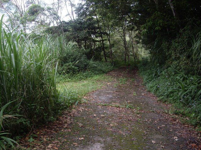 巴塱衛山、勝林山、加奈美山(棄登)