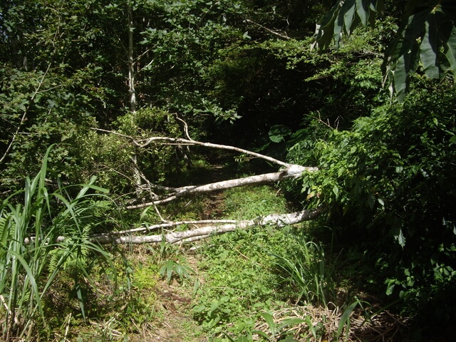 巴塱衛山、勝林山、加奈美山(棄登)