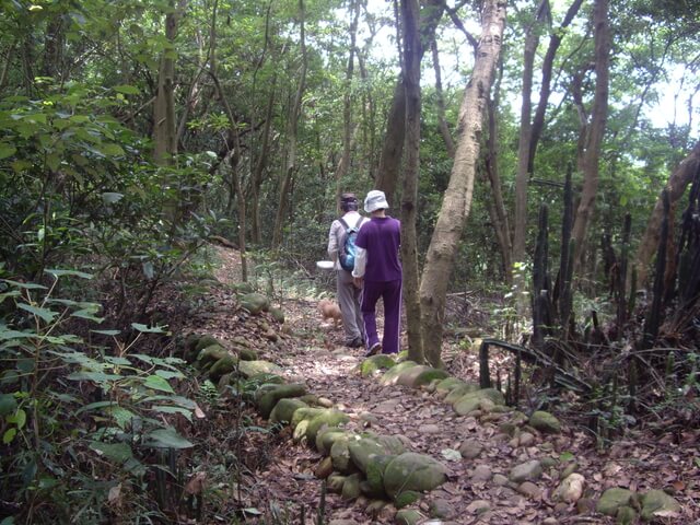 挑水古道、碧山古道、碧山