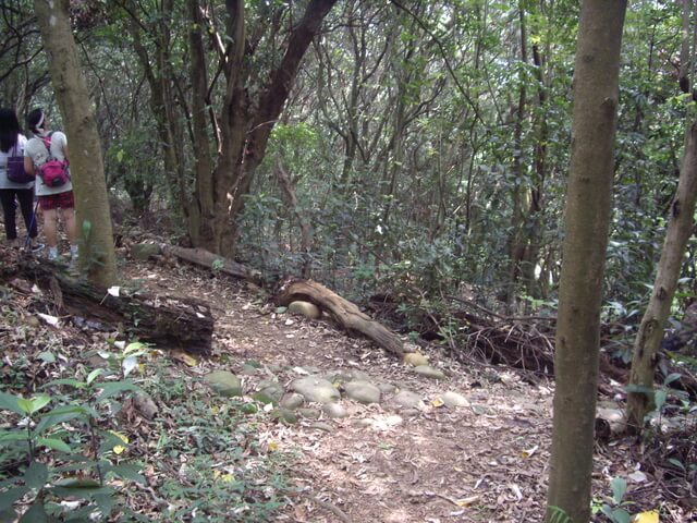 挑水古道、碧山古道、碧山