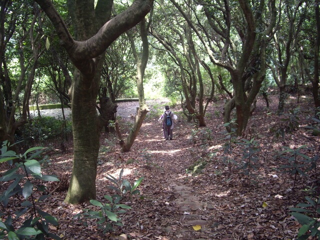 挑水古道、碧山古道、碧山