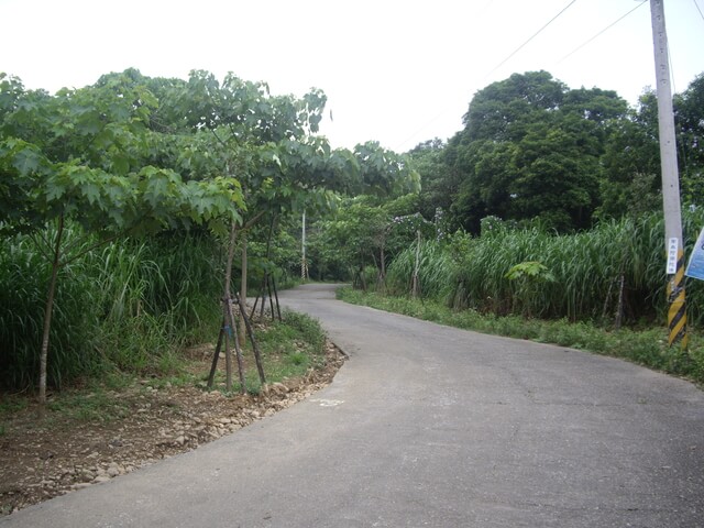 挑水古道、碧山古道、碧山