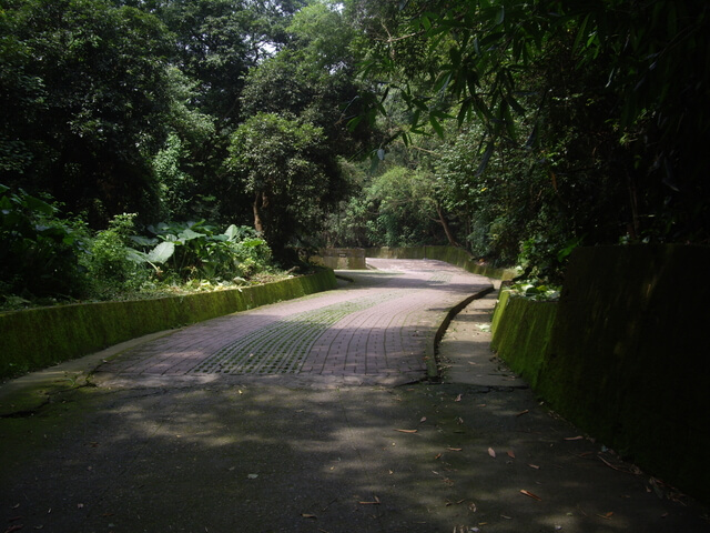 挑水古道、碧山古道、碧山