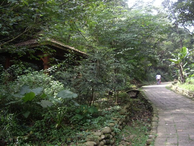 挑水古道、碧山古道、碧山