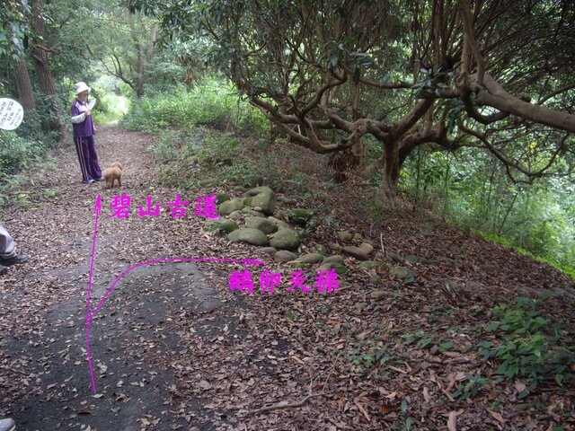 挑水古道、碧山古道、碧山