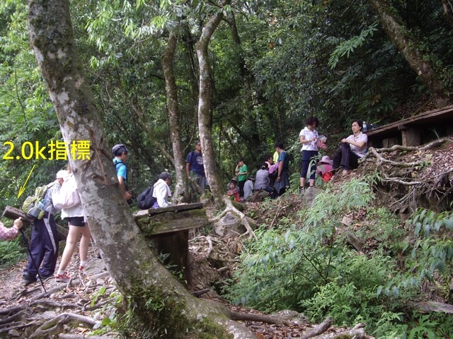 鎮西堡 B 區神木群步道