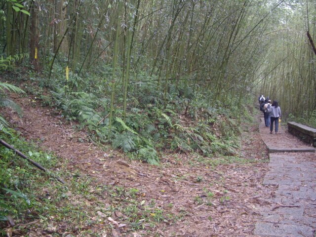 水社大山登山步道、卜吉山、水社大山