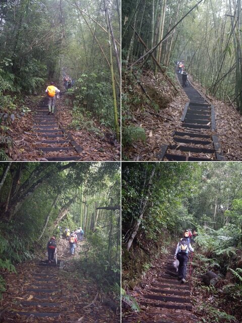 水社大山登山步道、卜吉山、水社大山