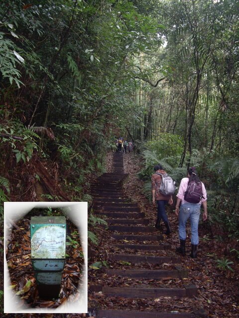 水社大山登山步道、卜吉山、水社大山