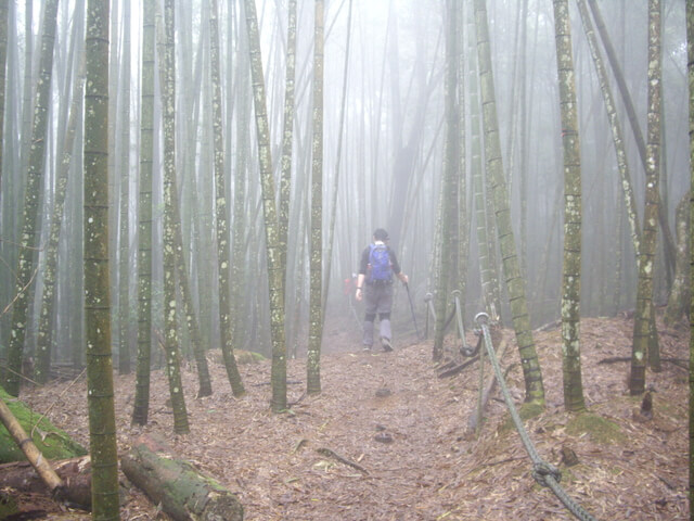 水社大山登山步道、卜吉山、水社大山