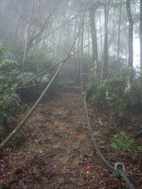 水社大山登山步道、卜吉山、水社大山