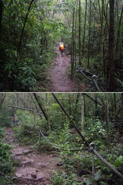 水社大山登山步道、卜吉山、水社大山