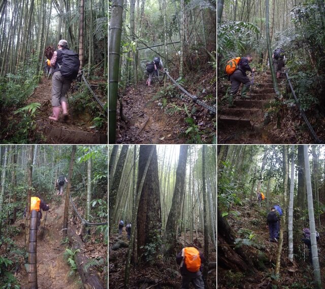 水社大山登山步道、卜吉山、水社大山