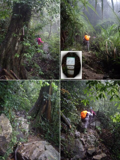 水社大山登山步道、卜吉山、水社大山