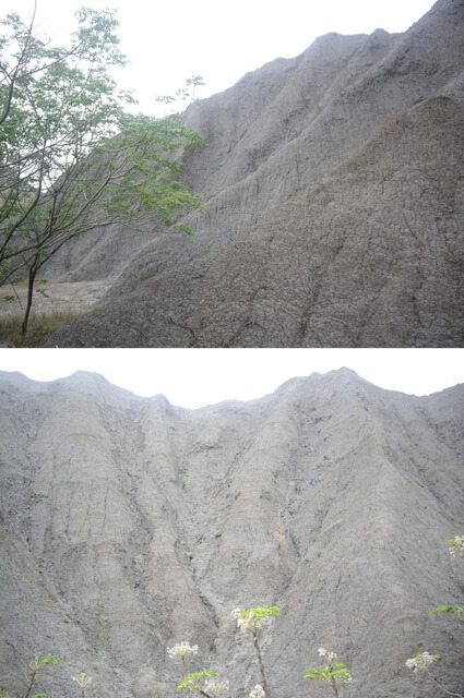 牛埔泥岩水土保持教學園區