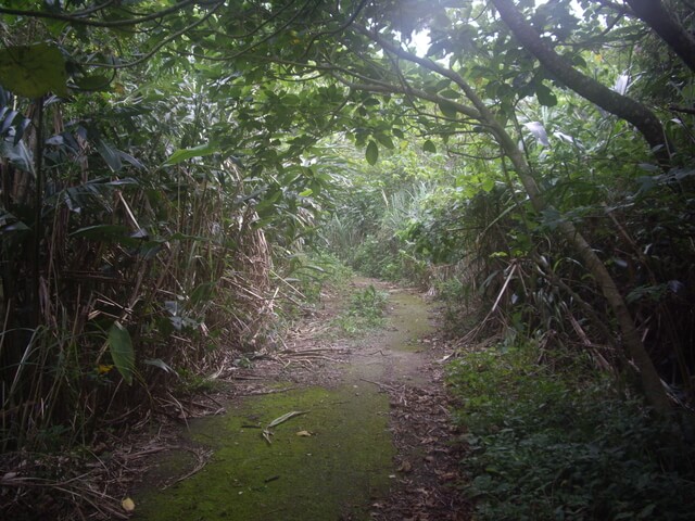 萬里得山