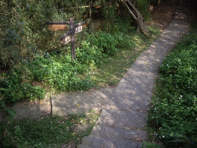 九芎湖步道、九芎湖山