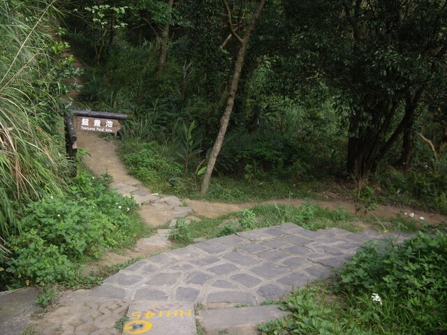 九芎湖步道、九芎湖山