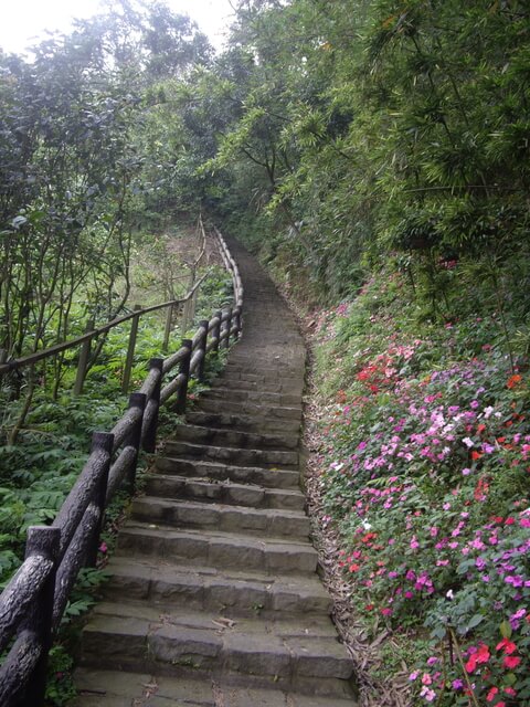 九芎湖步道、九芎湖山