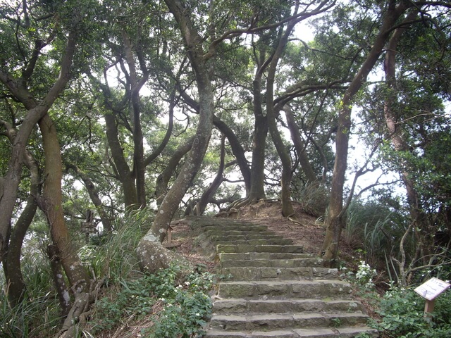 九芎湖步道、九芎湖山